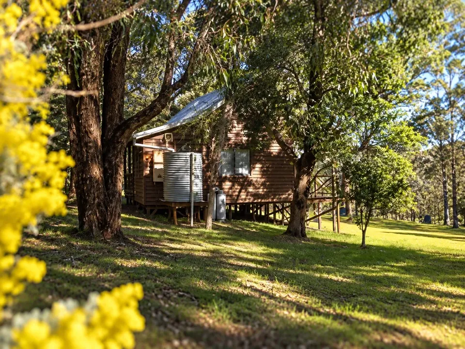 A timber chalet among the gum trees with golden wattle in bloom