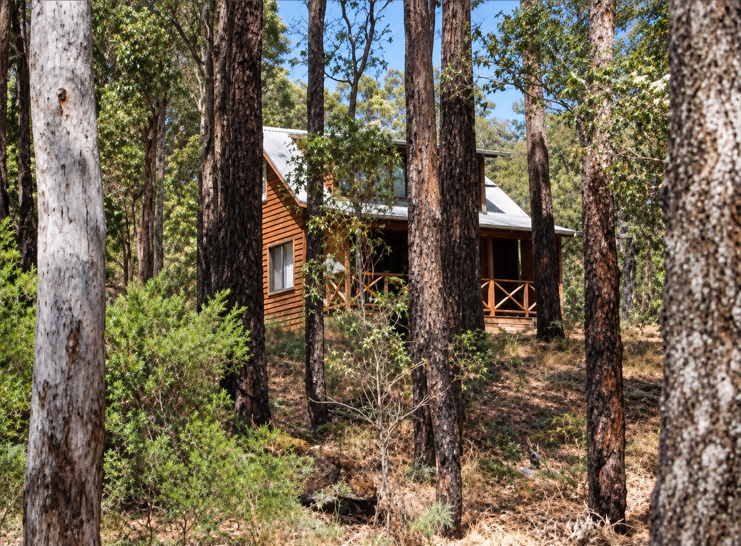 A timber chalet among tall green summer forest at Beyonderup Falls
