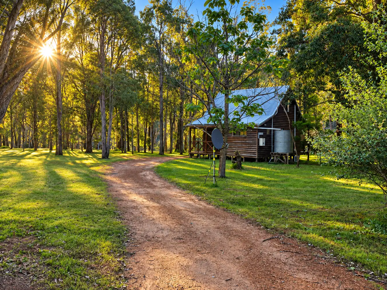 A timber chalet on stumps set deep in the forest, morning sun through the trees
