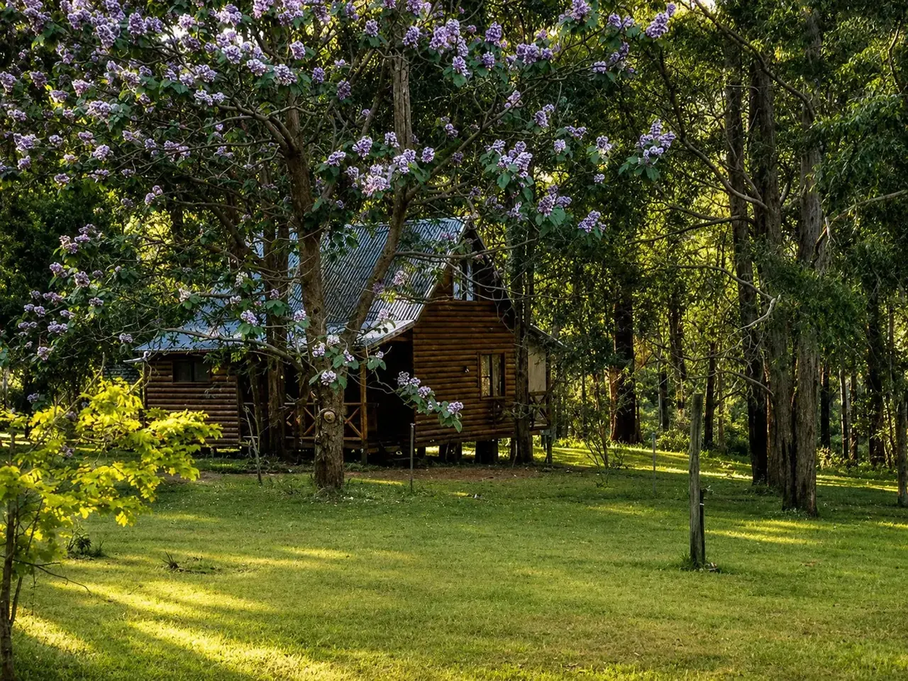 A timber chalet at Beyonderup Falls set back in a green clearing among tall trees