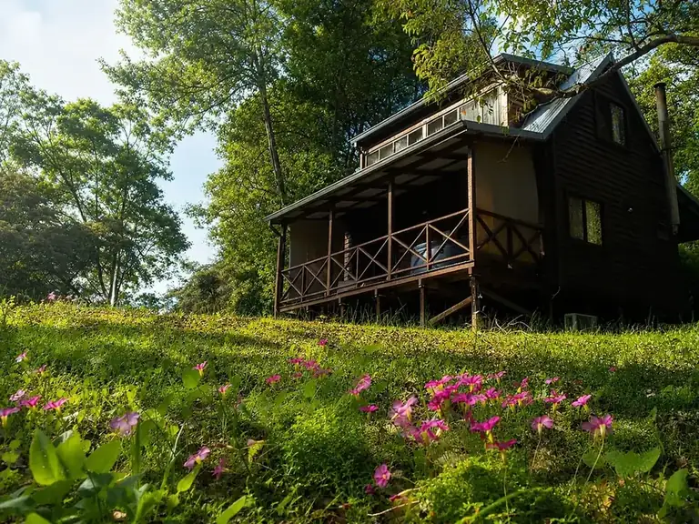 A timber chalet at Beyonderup Falls standing above a slope of wildflowers