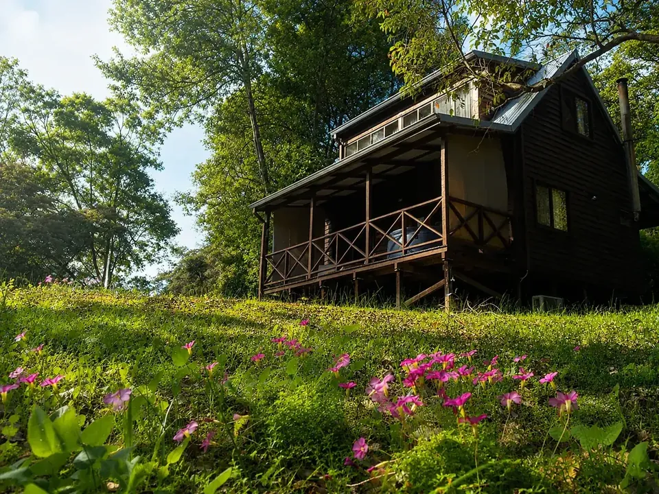 A timber chalet at Beyonderup Falls standing above a slope of wildflowers