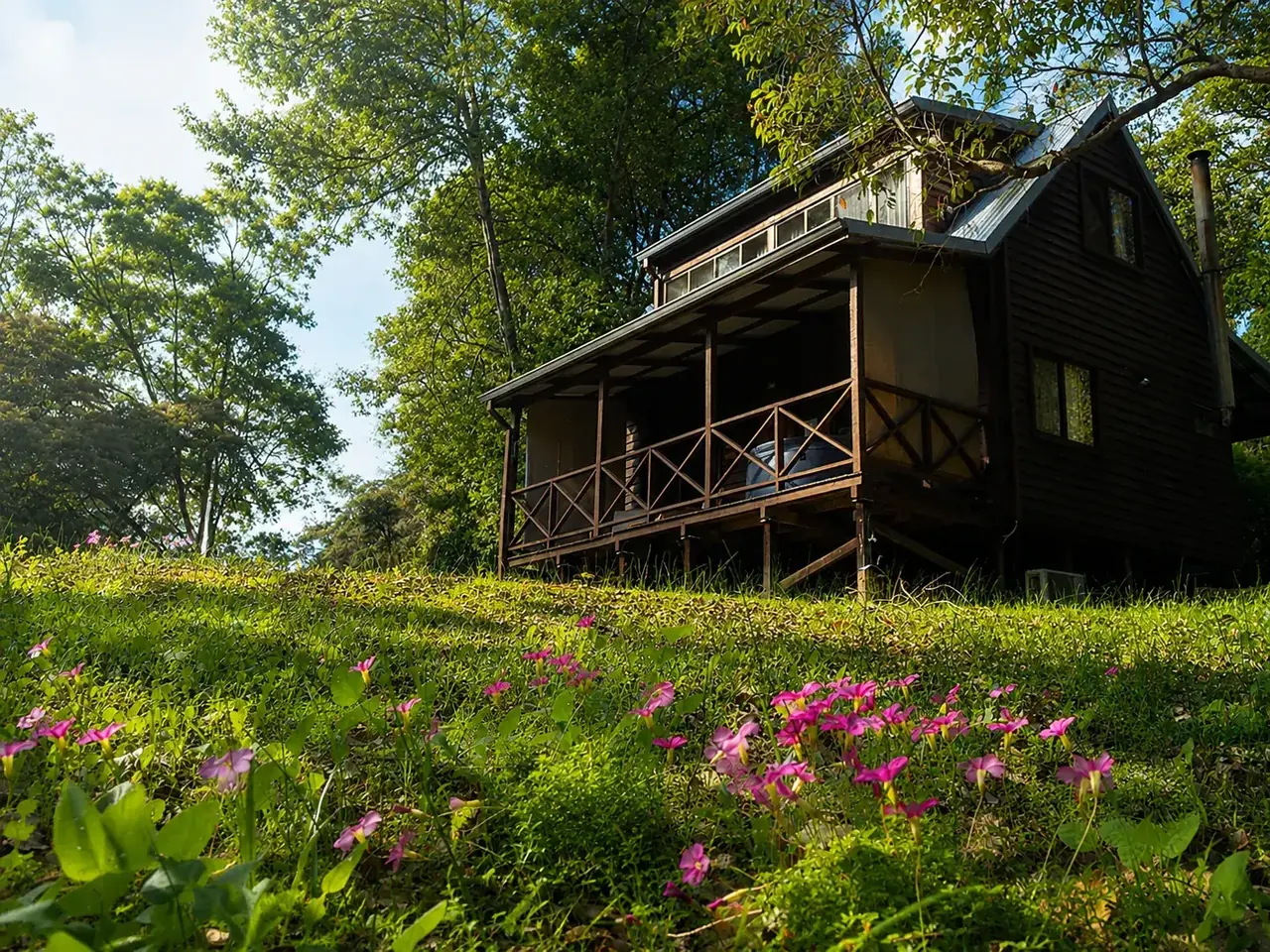 A timber chalet at Beyonderup Falls standing above a slope of wildflowers