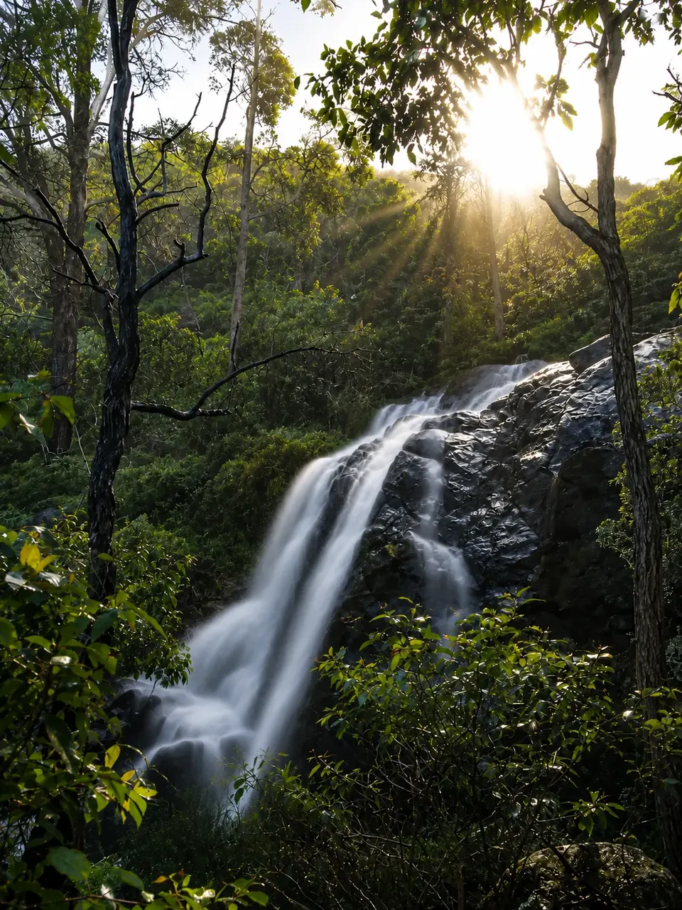 Beyonderup Falls in the forest with the sun breaking through the trees above
