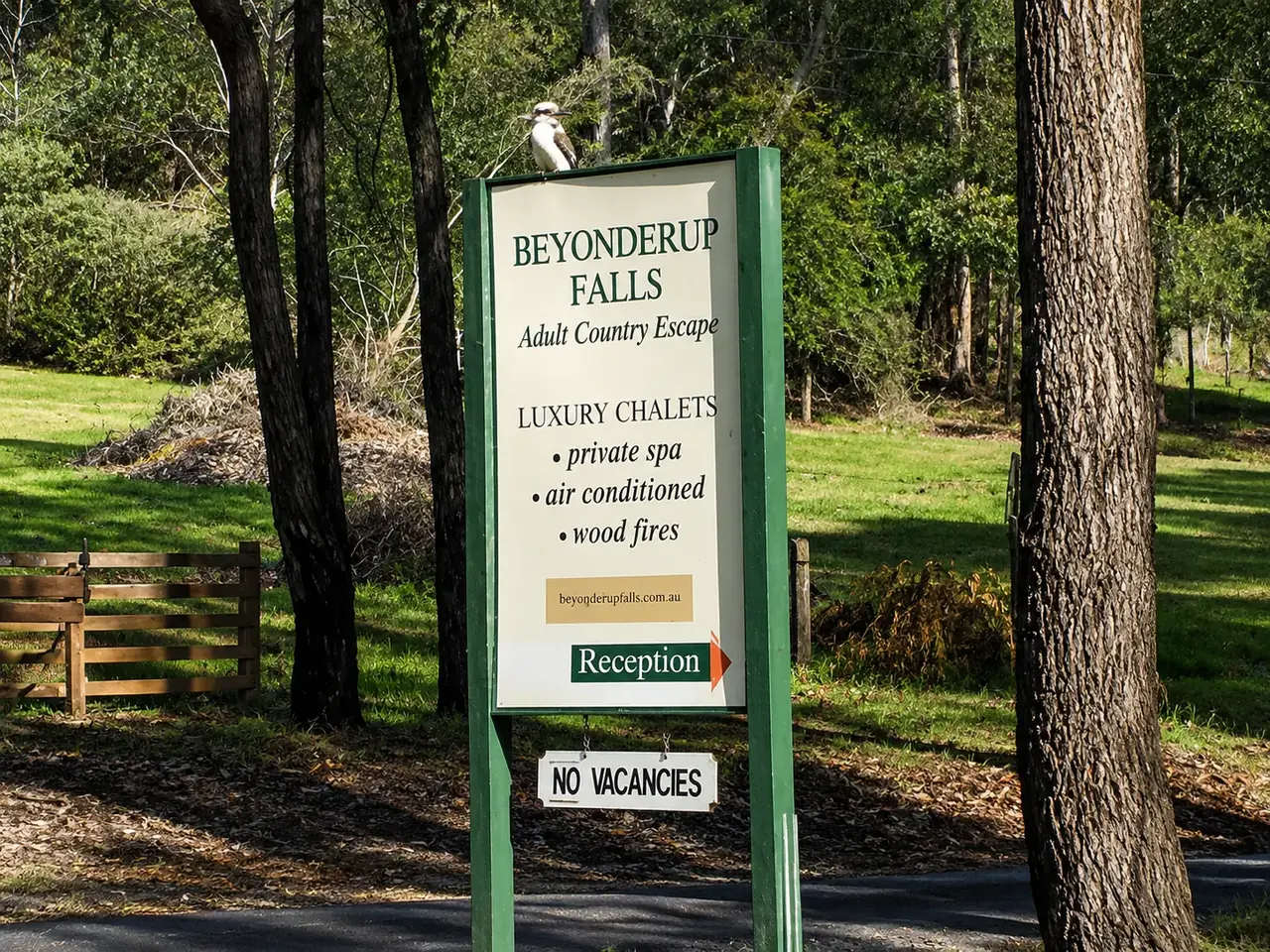 The Beyonderup Falls Country Escape reception sign among the trees, a kookaburra perched on top and a No Vacancies plate below