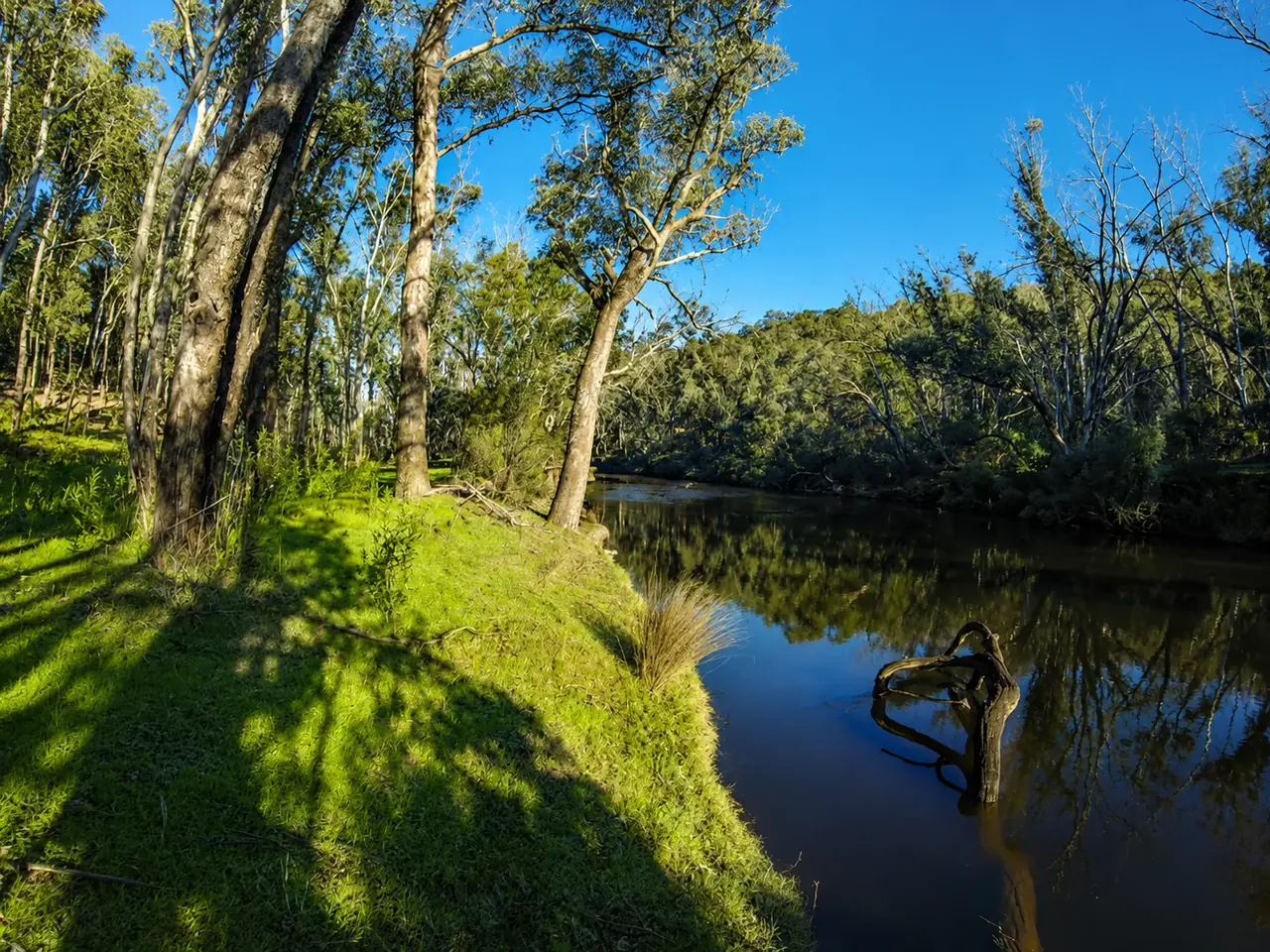 The Blackwood River curving past grassy banks and tall gums under a clear blue sky
