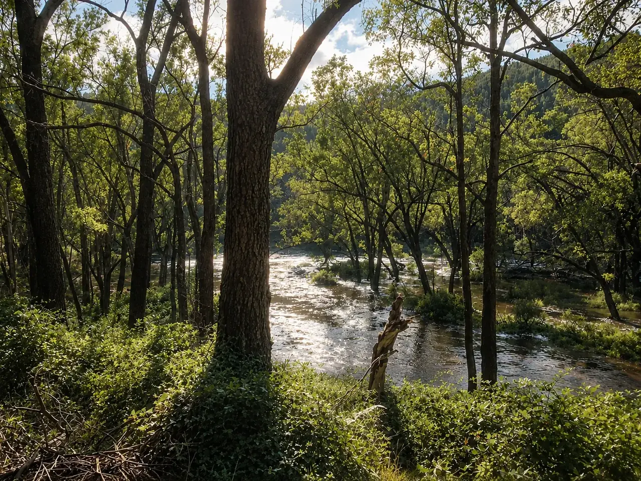 The Blackwood River running high and full through the riverside trees