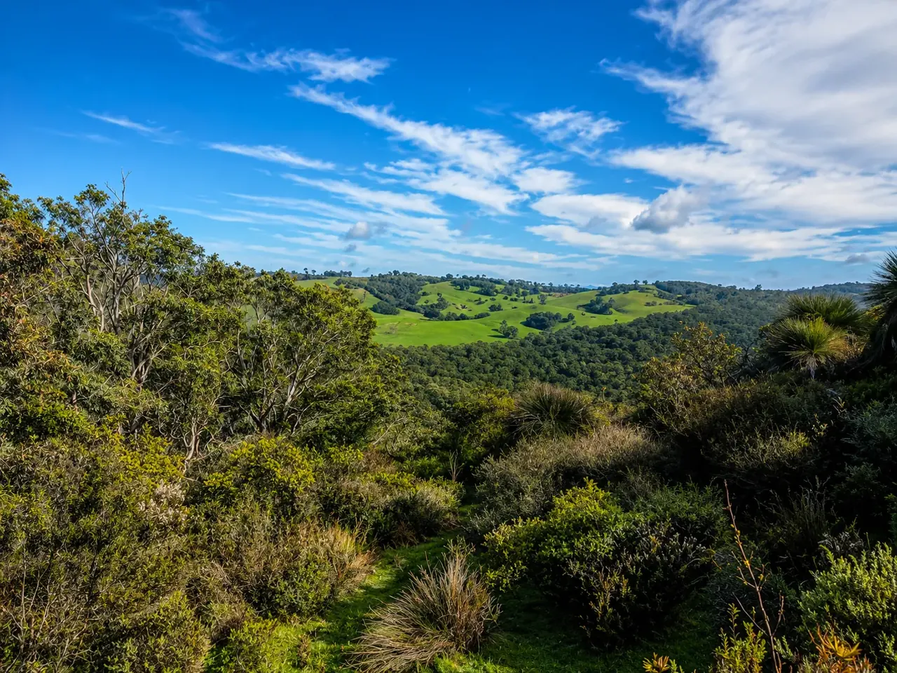 The green rolling hills of the Blackwood Valley under a wide blue sky