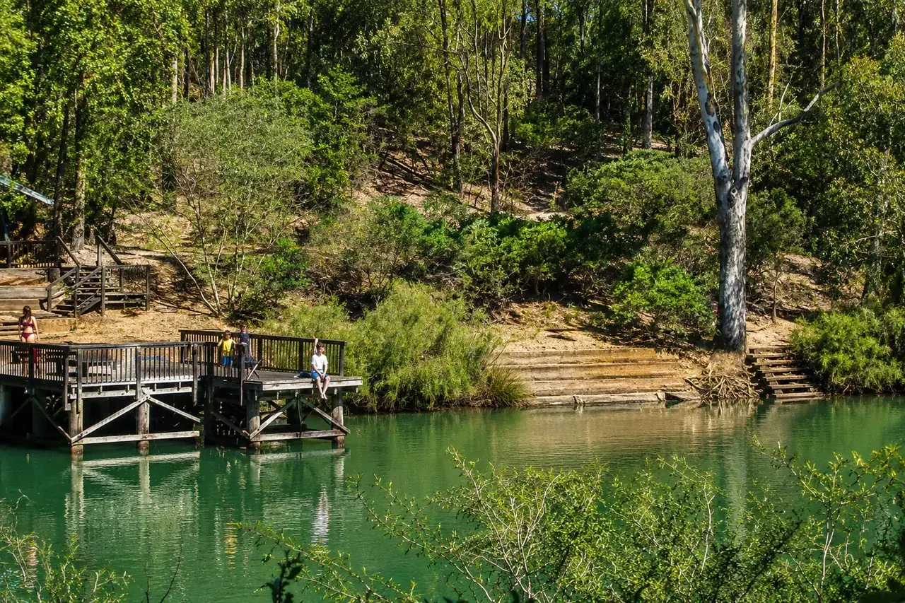 The timber jetty and green freshwater pool at Barrabup, ringed by forest