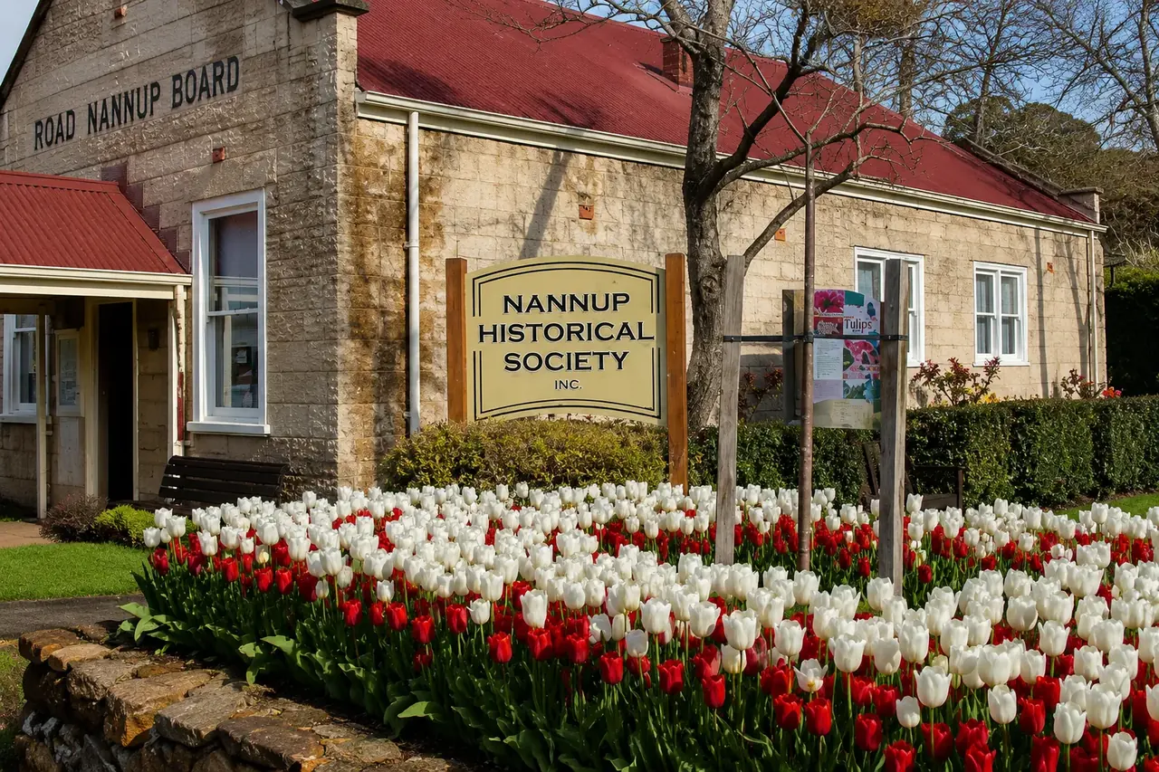 Tulips in bloom outside the Nannup Historical Society building