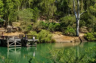 The timber jetty and green freshwater pool at Barrabup, ringed by forest