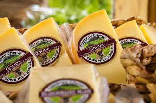 Wedges of handmade Cambray farmhouse gouda in a basket